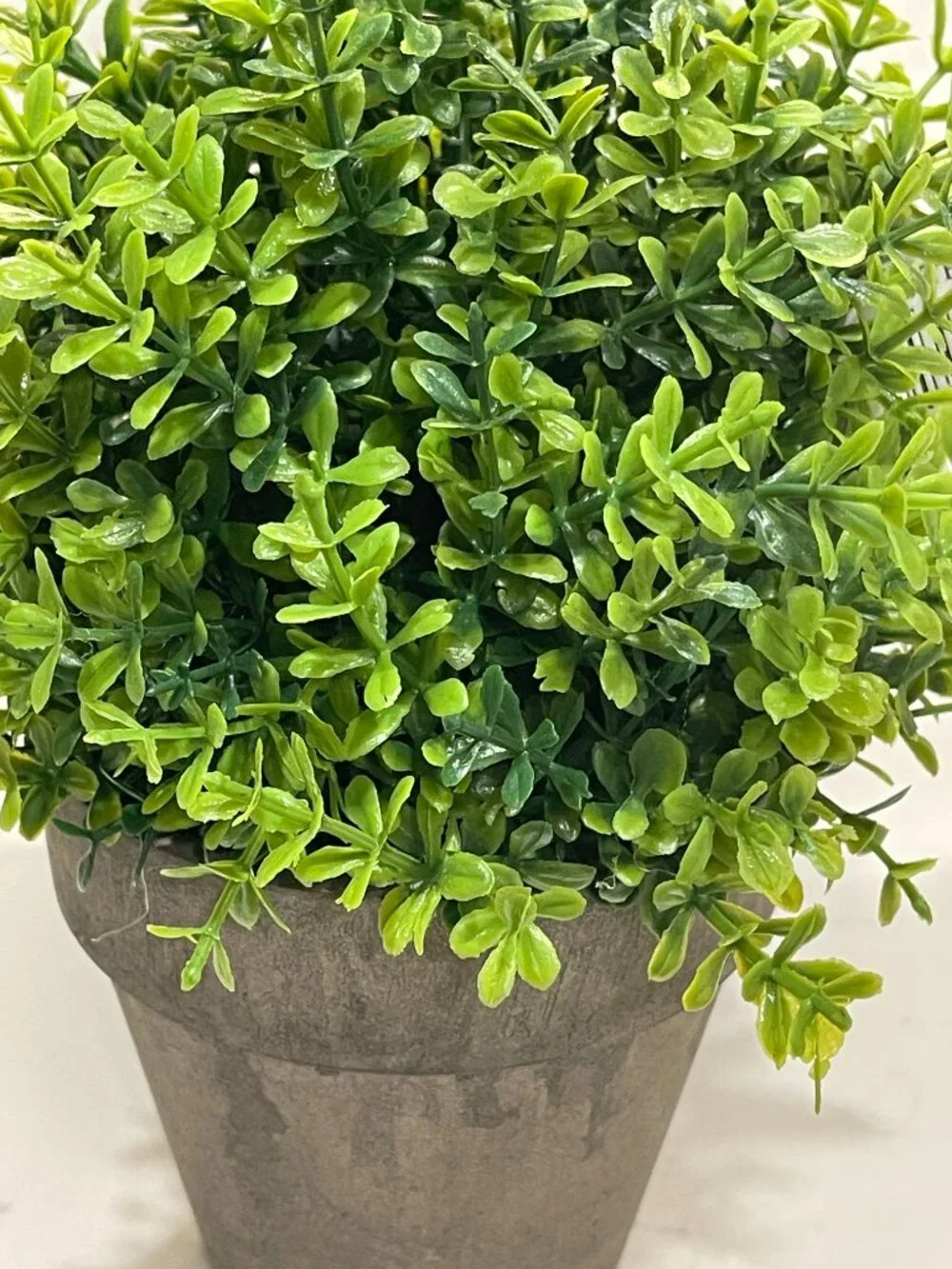 Nearly Natural Faux Boxwood + Natural Life Planter Cover Decor Bundle-NEW